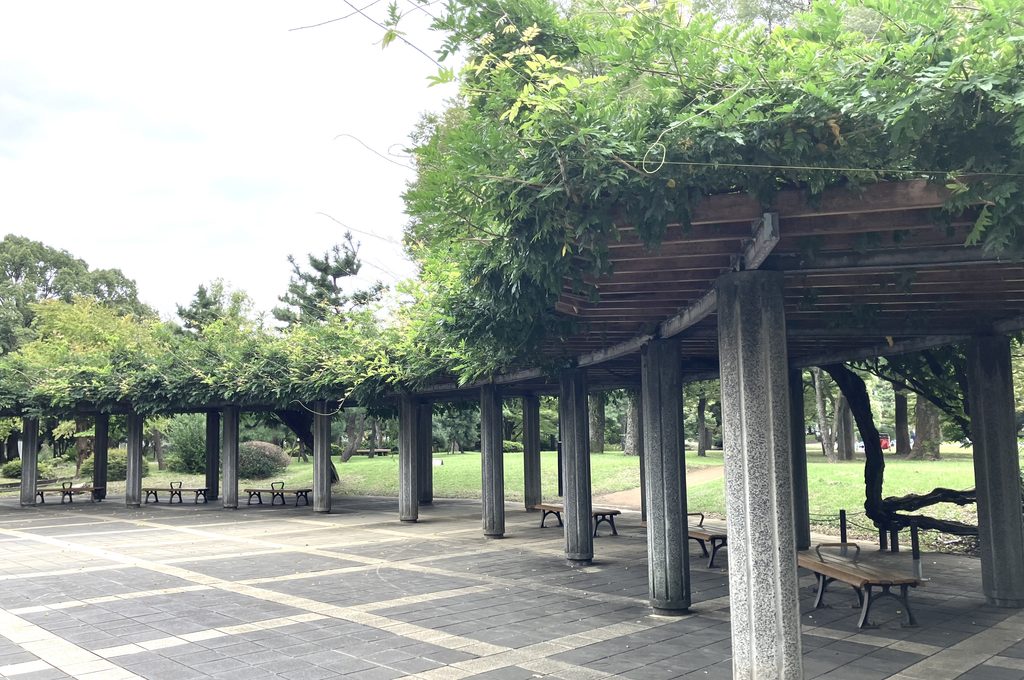 清澄公園　藤棚